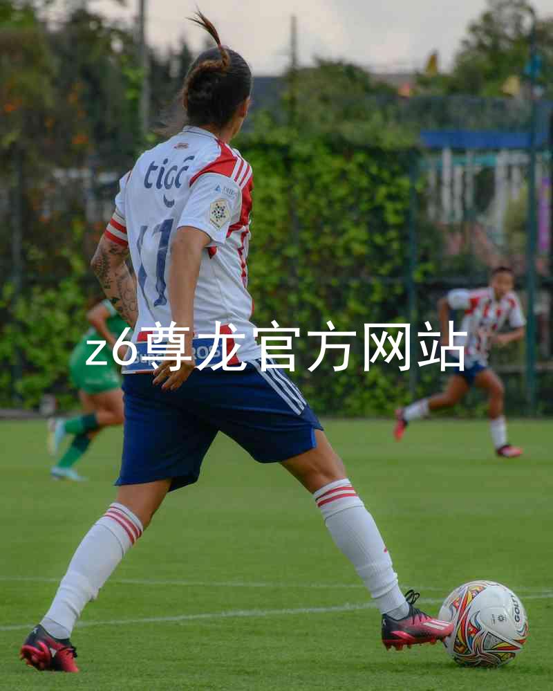 z6尊龙官方网站