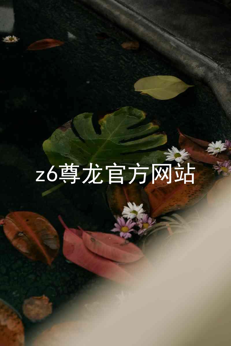 z6尊龙官方网站
